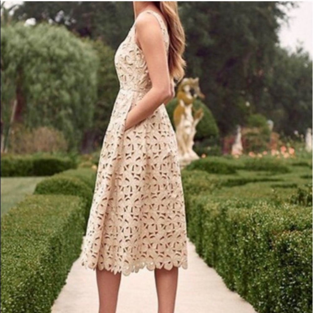 Antonio Melani Embroidered Lace Dress, 12, Bisque